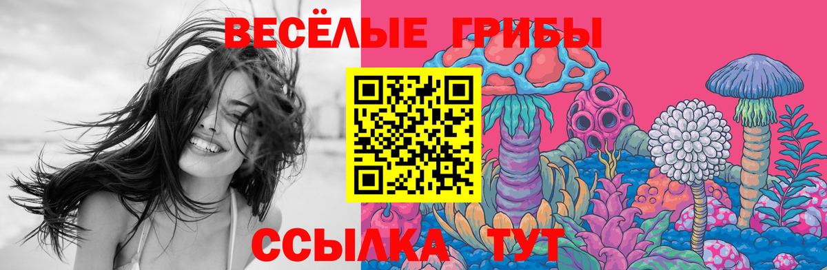 Псилоцибиновые грибы Psilocybine cubensis Будённовск